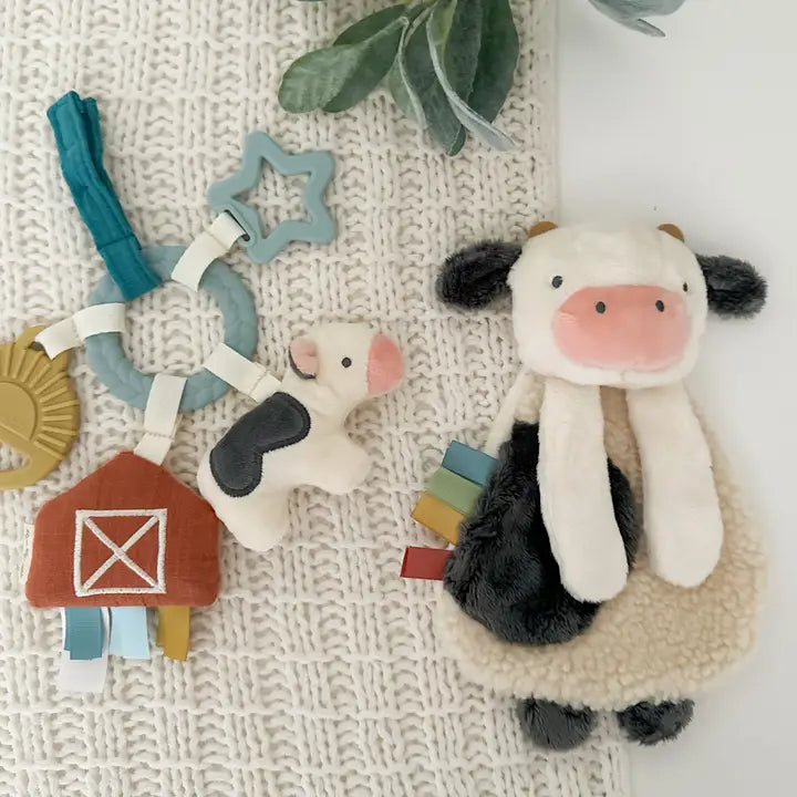 Bitzy Gift Set Barnyard