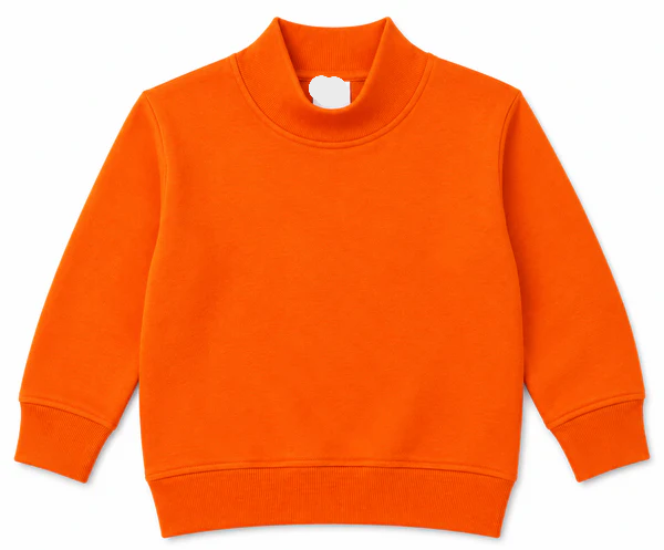 PRE-ORDER Toddler/Youth Mockneck Sweatshirt