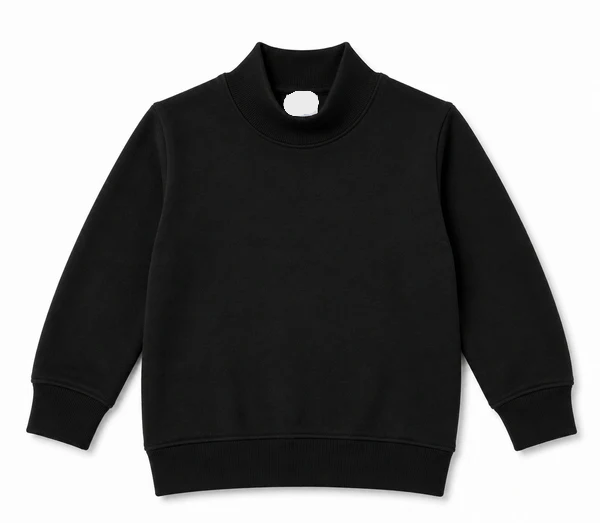 PRE-ORDER Toddler/Youth Mockneck Sweatshirt