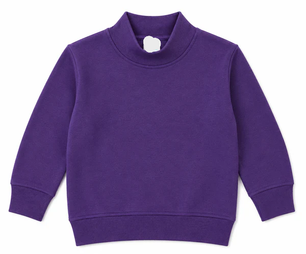 PRE-ORDER Toddler/Youth Mockneck Sweatshirt