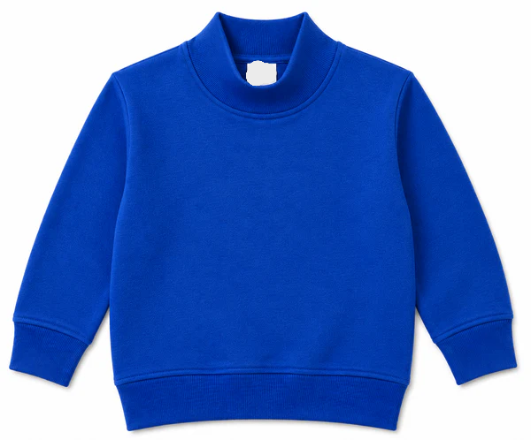 PRE-ORDER Toddler/Youth Mockneck Sweatshirt