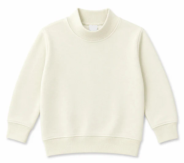 PRE-ORDER Toddler/Youth Mockneck Sweatshirt
