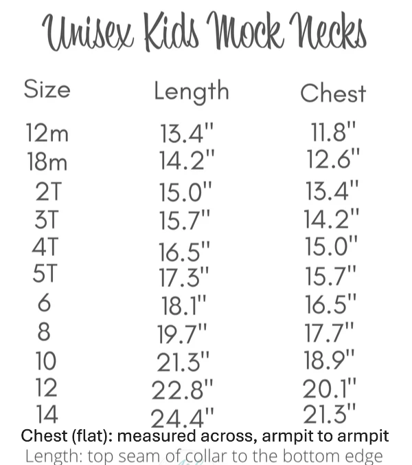 PRE-ORDER Toddler/Youth Mockneck Sweatshirt