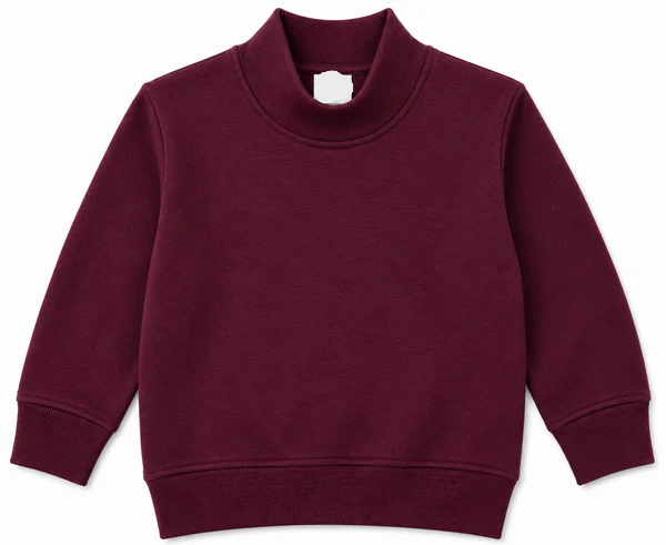 PRE-ORDER Toddler/Youth Mockneck Sweatshirt