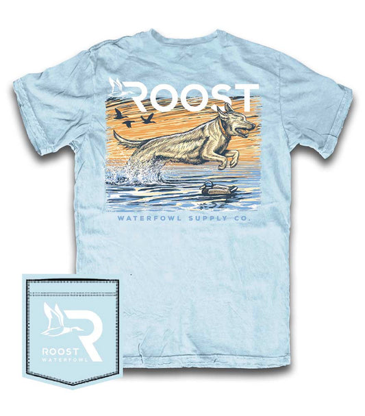 Roost Lake Lab