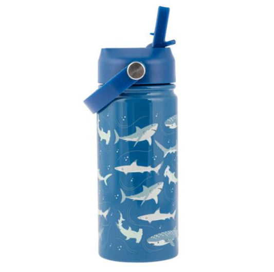 Insulated Stainless Steel Water Bottle