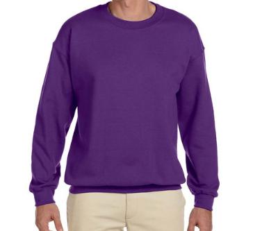 Adult School Mascot Spirit Sweatshirt - Custom 1926