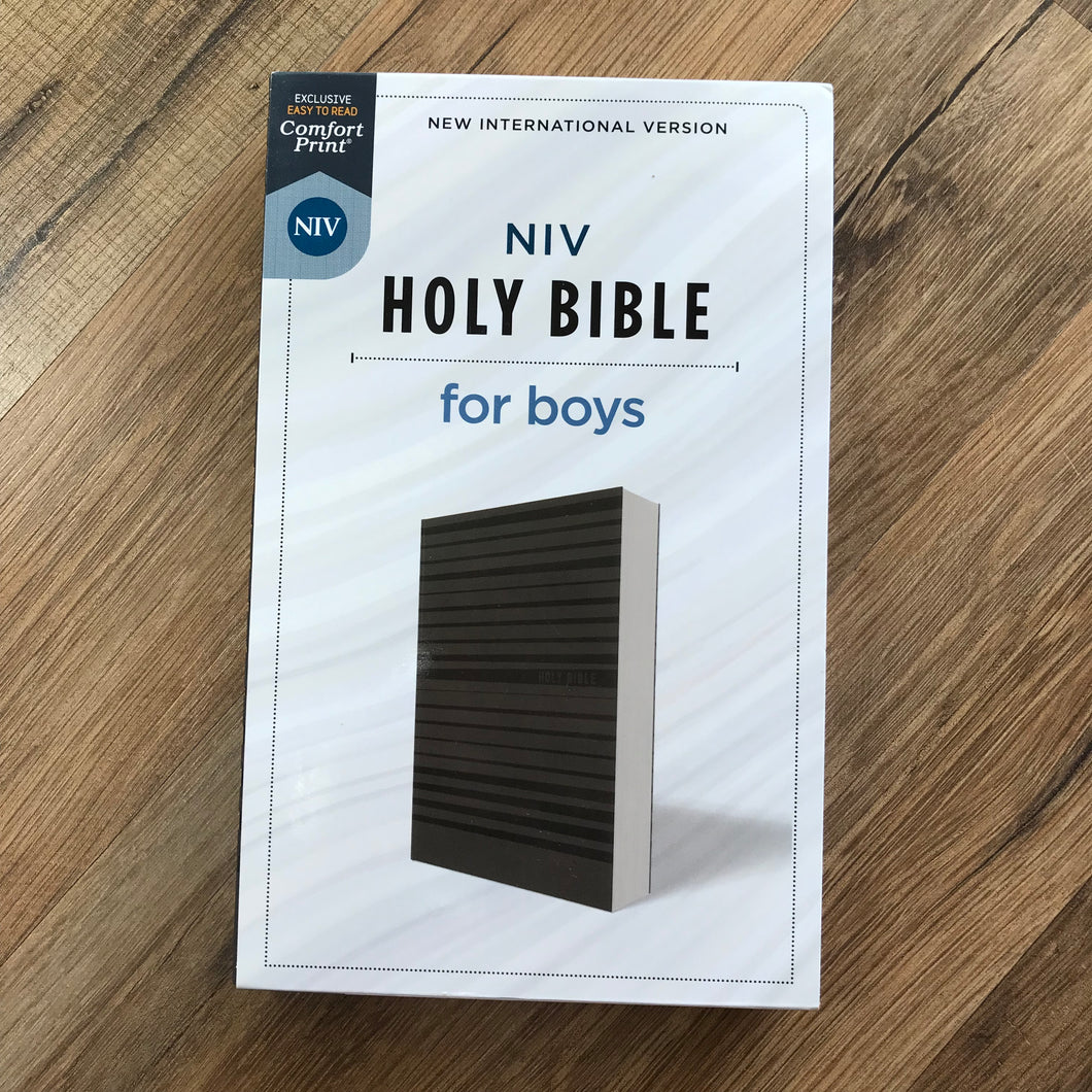 Bible for Boys- NIV